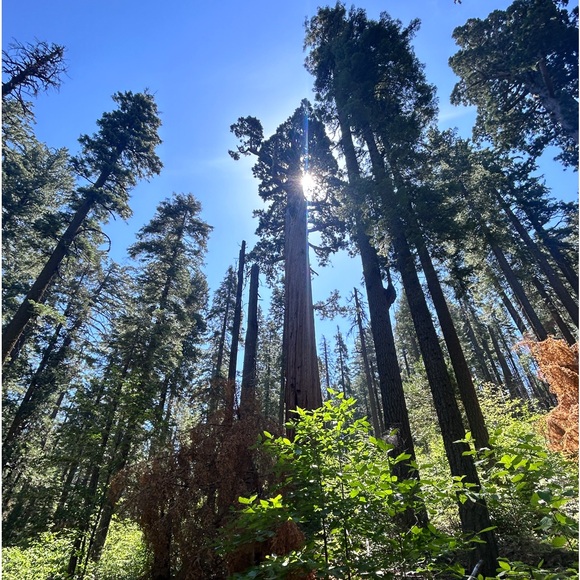 Meet your Posher, Sheila - Picture 14 of 15